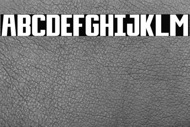 Day Display Font examples