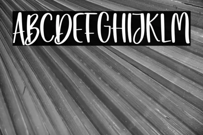 Day Of Christmas Fonte examples