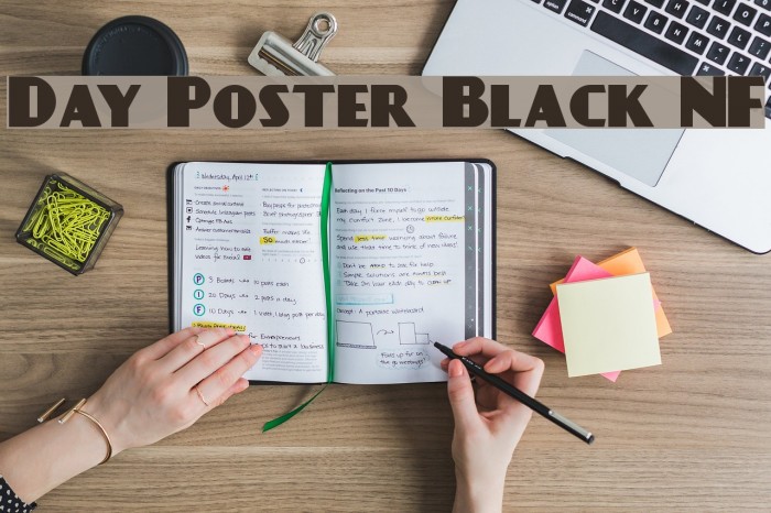 Day Poster Black NF Font examples
