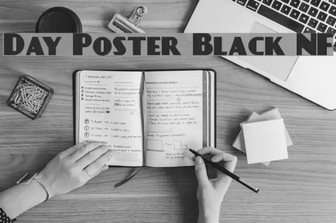 Day Poster Black NF Font examples