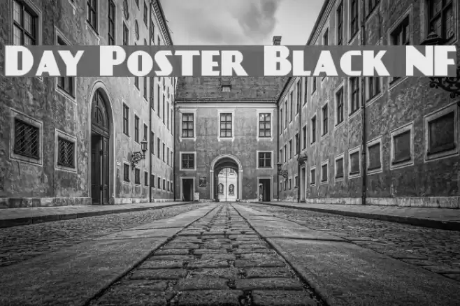Day Poster Black NF Font examples