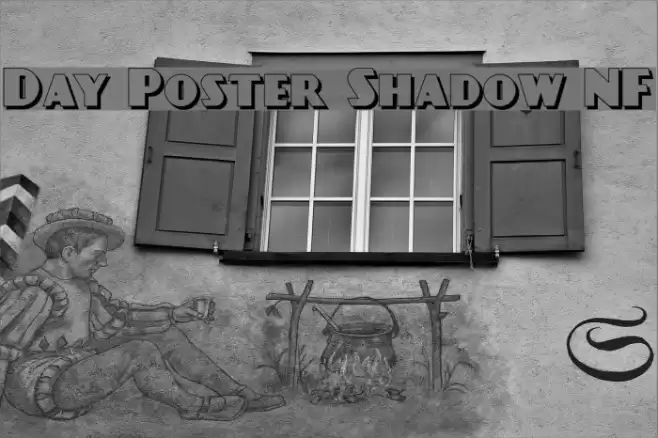 Day Poster Shadow NF Polices examples