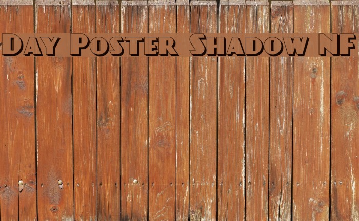 Day Poster Shadow NF Font examples