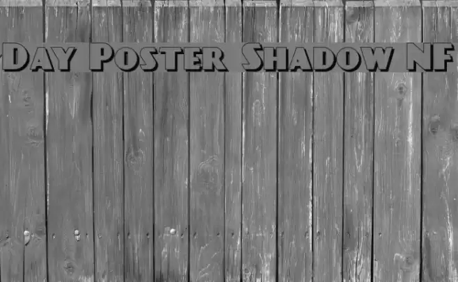 Day Poster Shadow NF Polices examples