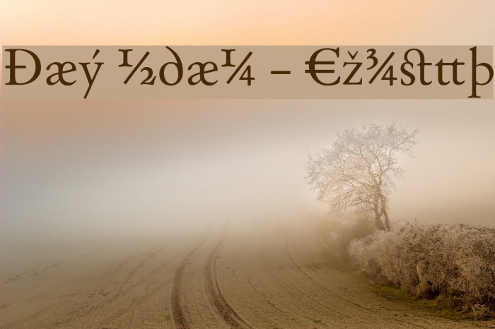 Day Roman - Expert Font examples