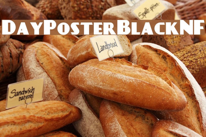 DayPosterBlackNF Example 1