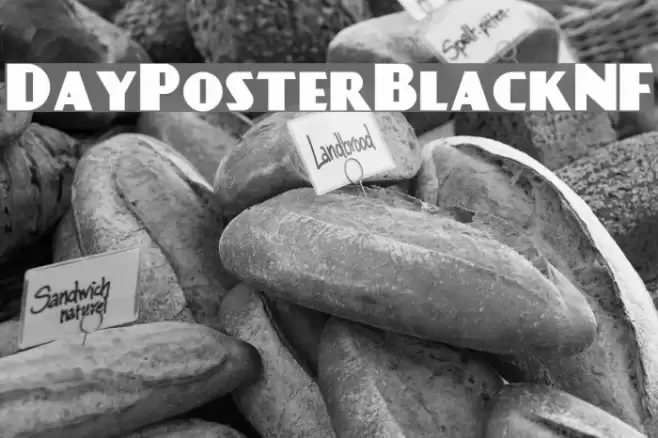 DayPosterBlackNF Font examples