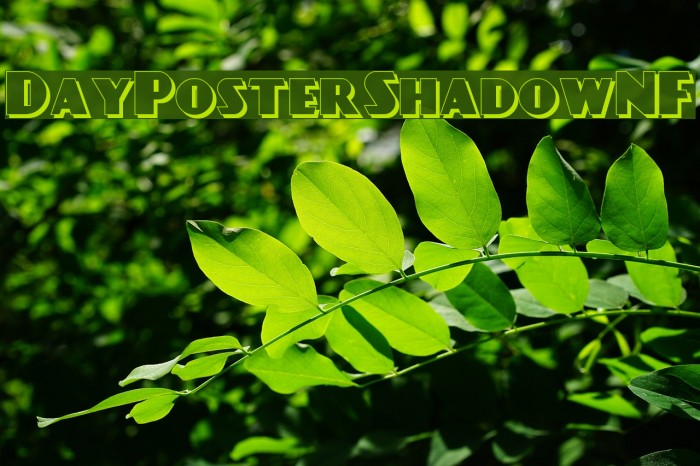 DayPosterShadowNF Font examples