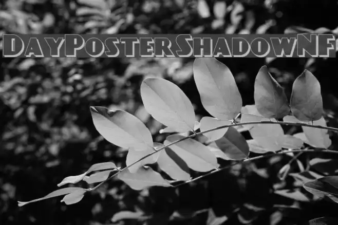 DayPosterShadowNF Example 3