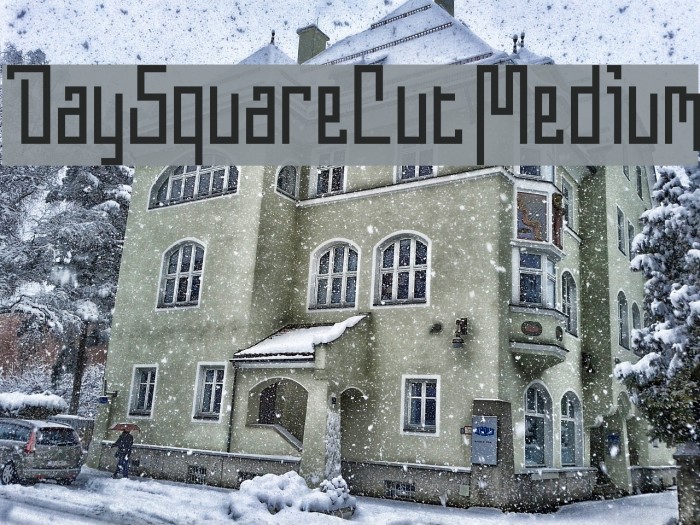 DaySquareCut Medium Font examples