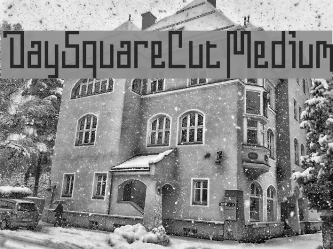 DaySquareCut Medium Example 2