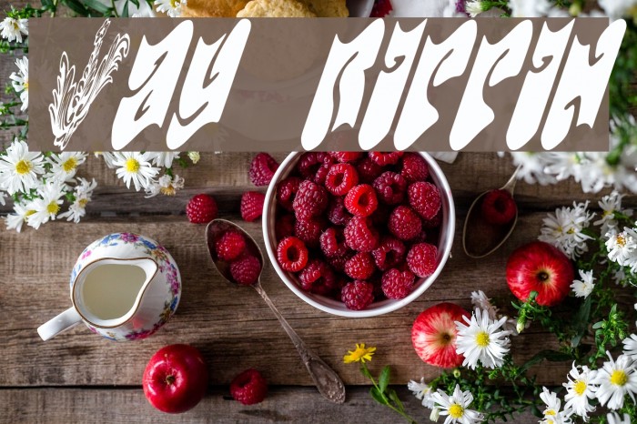 DayTrippin Font examples