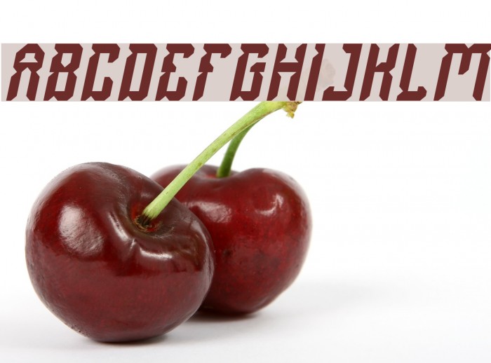 Dayak Shield Italic Example 2