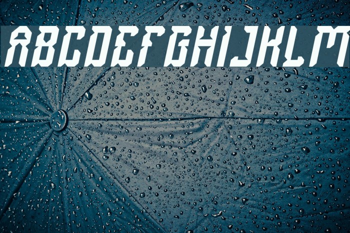 Dayak Shield Italic Example 3