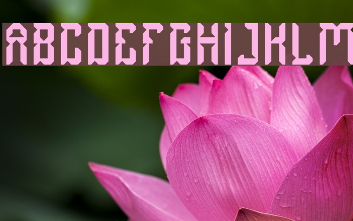 Dayak Shield-Light Font examples