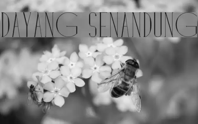 Dayang Senandung Font examples