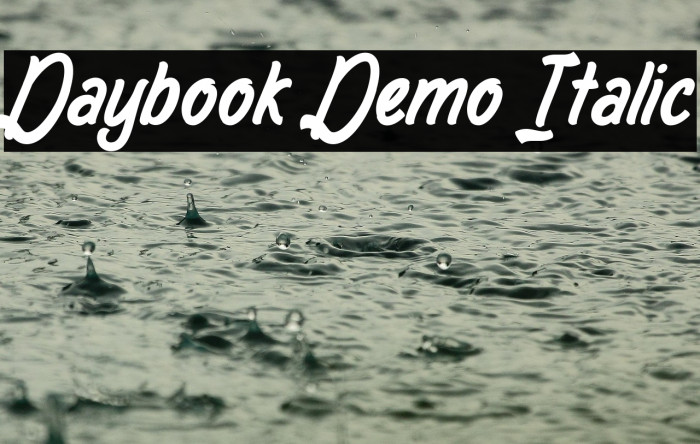 Daybook Demo Italic Example 1