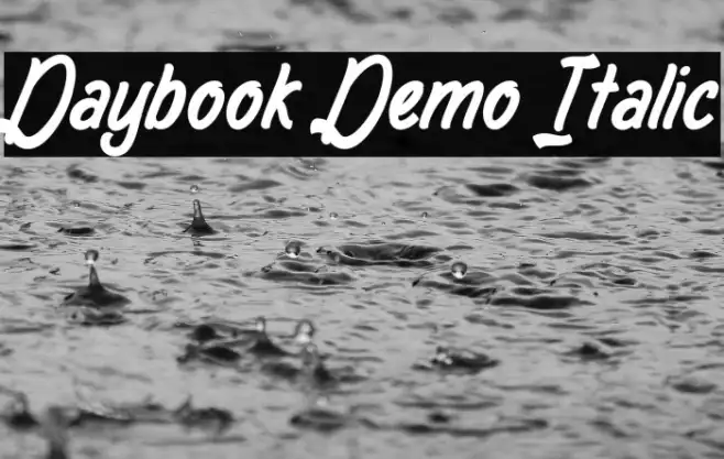 Daybook Demo Italic Example 1