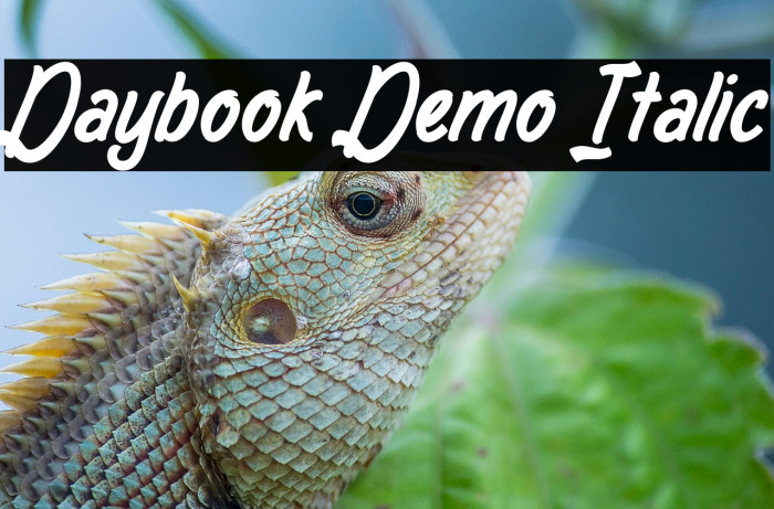 Daybook Demo Italic Example 2