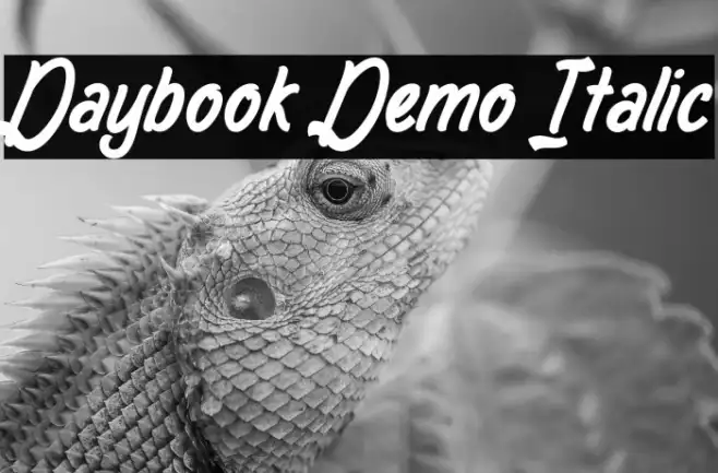 Daybook Demo Italic Example 2