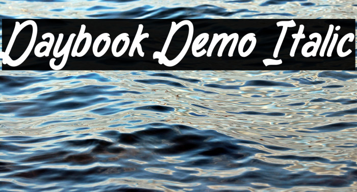 Daybook Demo Italic Example 3