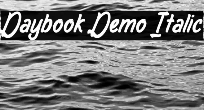 Daybook Demo Italic Example 3