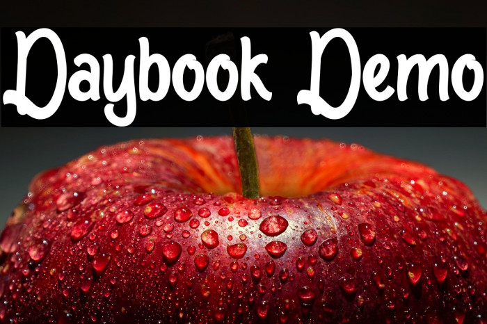 Daybook Demo Example 1