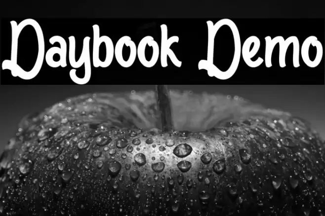 Daybook Demo Font examples