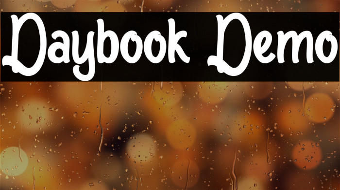 Daybook Demo Example 2