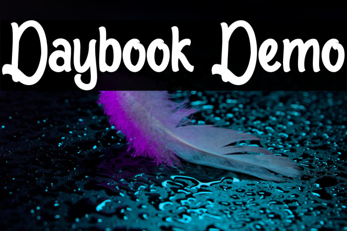 Daybook Demo Example 3