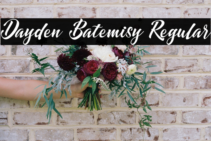 Dayden Batemisy Regular Example 1