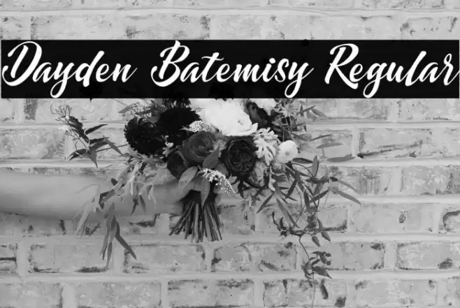 Dayden Batemisy Regular Font examples