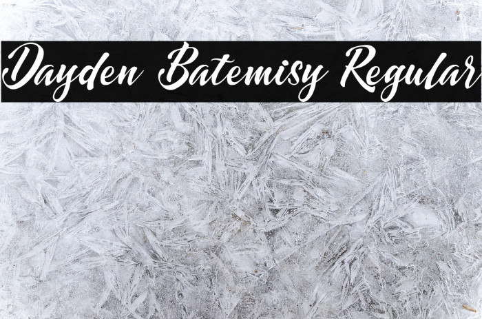 Dayden Batemisy Regular Example 2