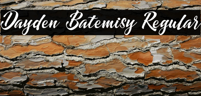 Dayden Batemisy Regular Example 3