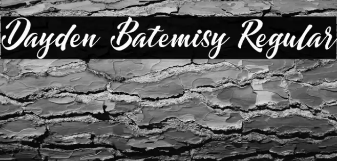 Dayden Batemisy Regular Font examples