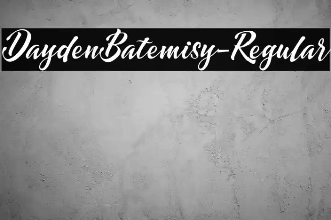 DaydenBatemisy-Regular Example 2