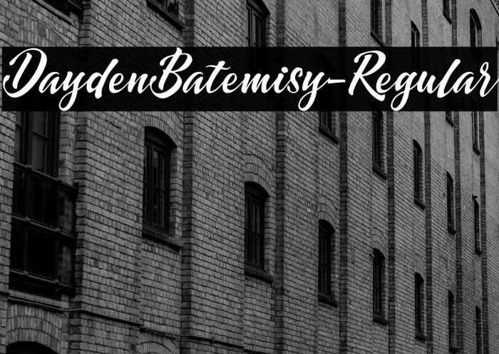 DaydenBatemisy-Regular Example 3