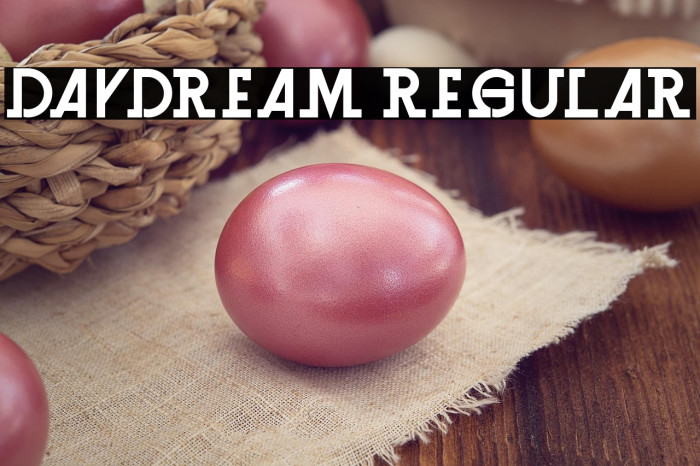 Daydream Regular Example 2