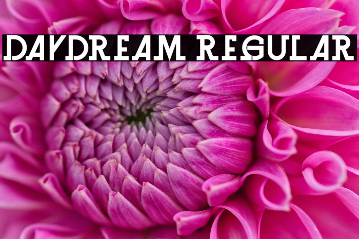 Daydream Regular Example 3