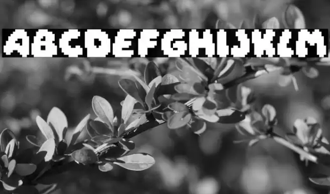 Daydream Font examples