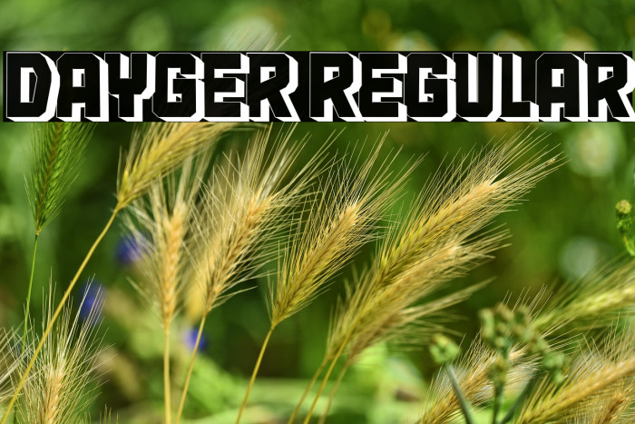 Dayger Regular Example 2