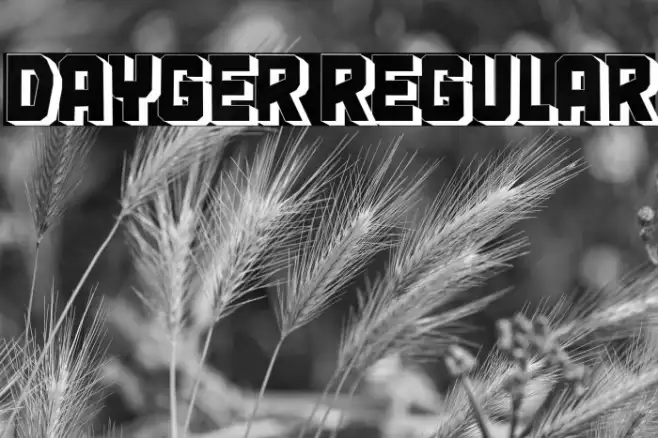 Dayger Regular Example 2