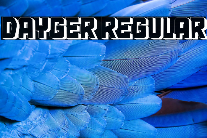 Dayger Regular Example 3