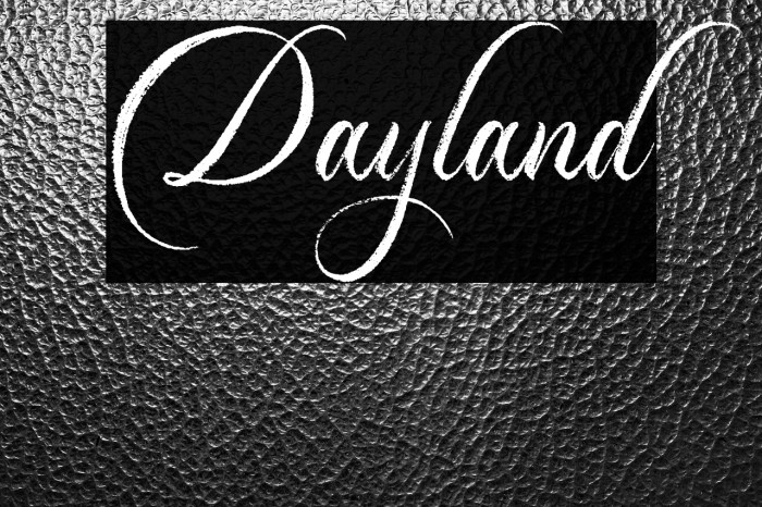 Dayland Example 1