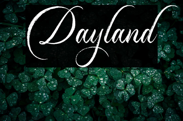 Dayland Example 2