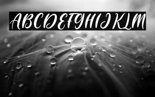 Daylight Font examples