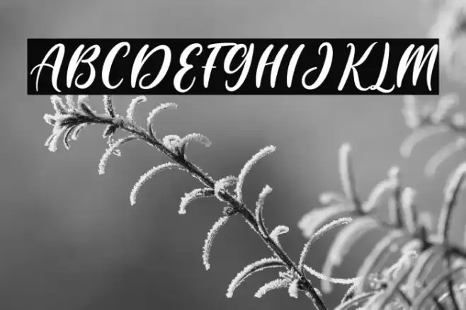 Daylight Font examples