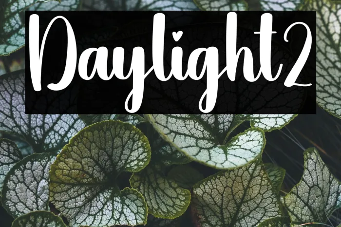 Daylight2 Example 1