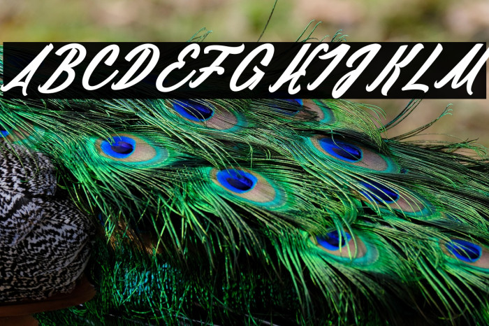 Daylight&Moonlight light 2_PersonalUseOnly Example 1