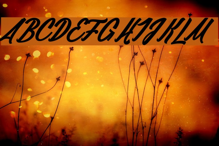 Daylight&Moonlight light_PersonalUseOnly Шрифта examples